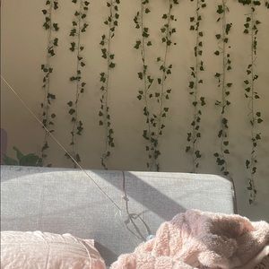 Meet your Posher, Carolyn